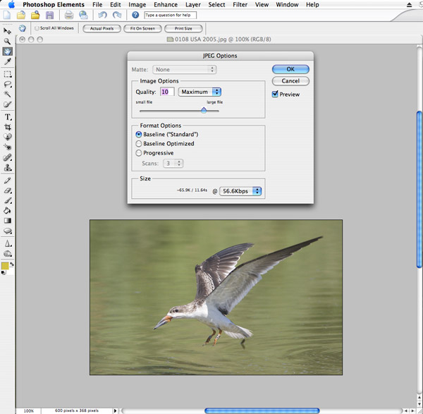 Example of compression in Photoshop Elements