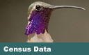  Census Data